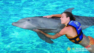 Swimming with dolphins in Antalya