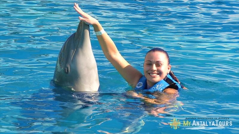 Экскурсия Плавание с дельфинами в Анталии