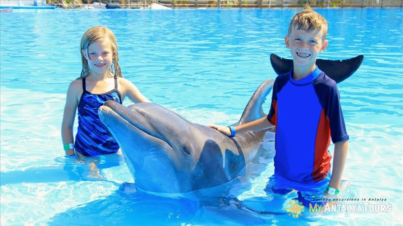 Swimming with dolphins in Antalya