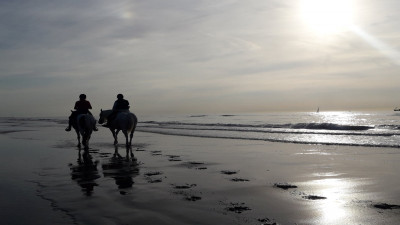 Antalya horse riding