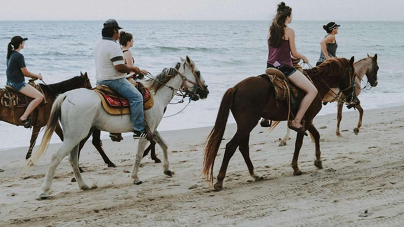 Antalya horse riding