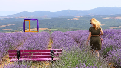 Lavender fields Antalya